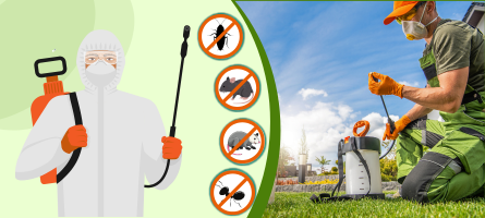 Emergency Pest Control Berwick